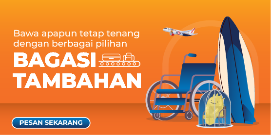 Special Baggage
