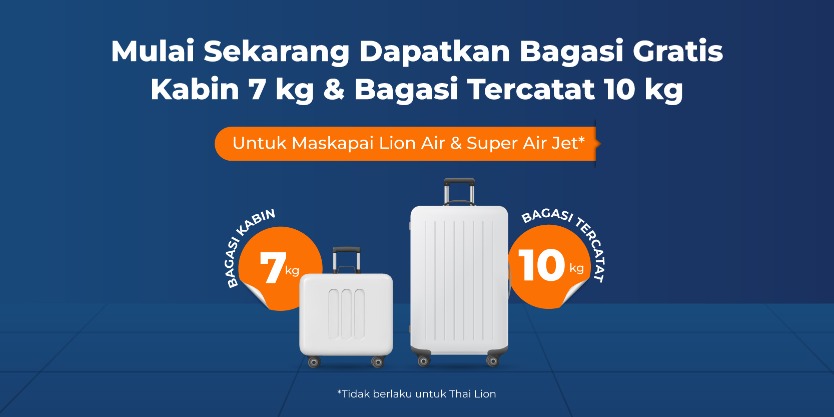 Checked Baggage