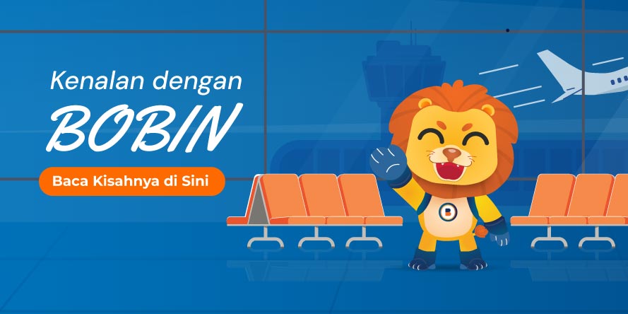 BOBIN!